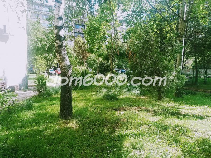 dom6000.com - недвижими имоти - продажби и наеми